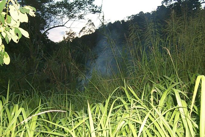 Dense jungle and as close as we came