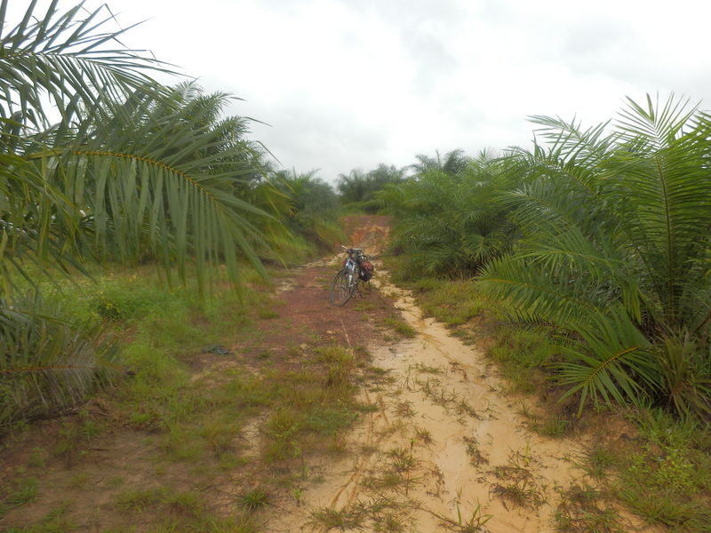 The Track to the Confluence