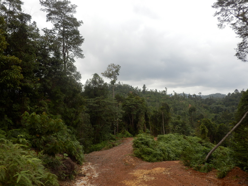 The Confluence from 30 m distance