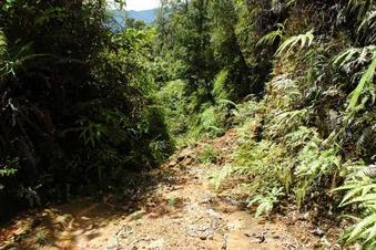 #1: Looking down the mountain side towards the Confluence Point