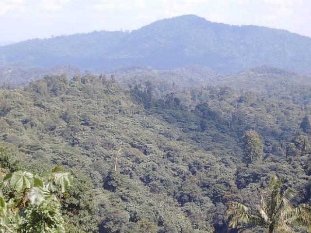 A view of the area of the confluence 2km at 115 degree away.