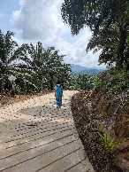 #9: The peaceful road towards the confluence point.