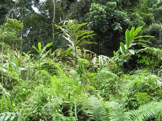 #1: View south toward the confluence (250m away).