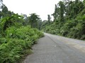 #4: View facing west along the road.