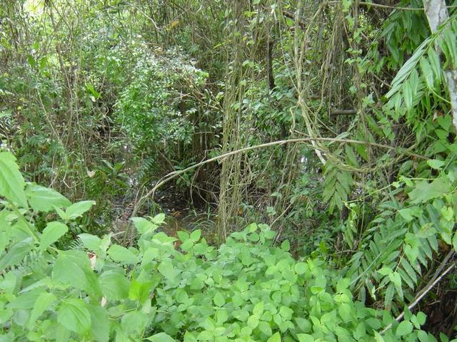 The confluence, from a different angle