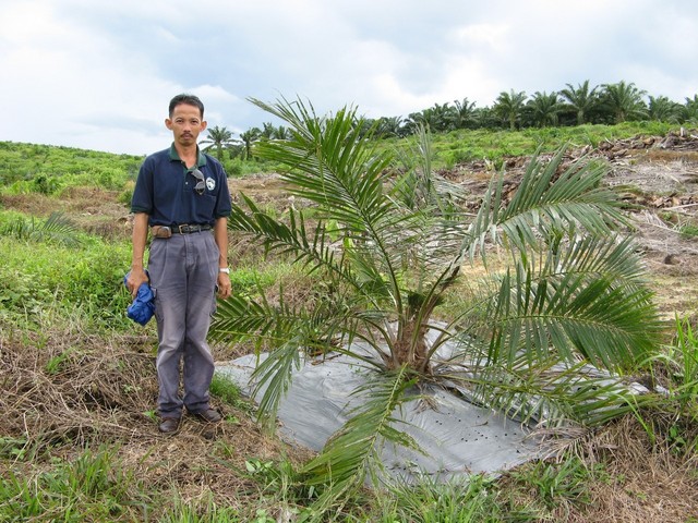 Our trusty guide Sitoh standing at the confluence.