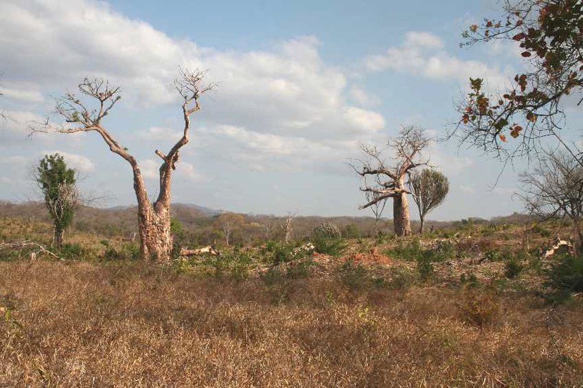 From here you can look to Zimbabwe