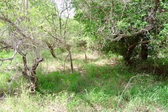 #1: The Confluence viewed from the North, 15 m away.