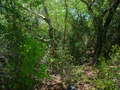 #4: View from the Confluence to the West