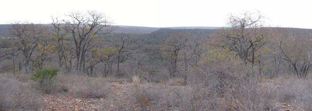 Panorama from the rise "beyond" the Confluence