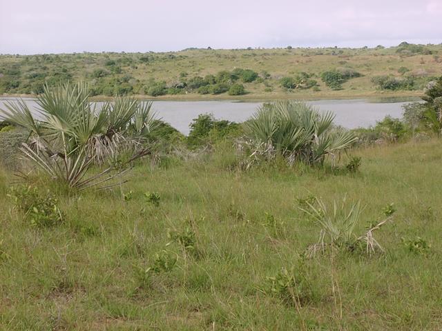 Small lake to the North