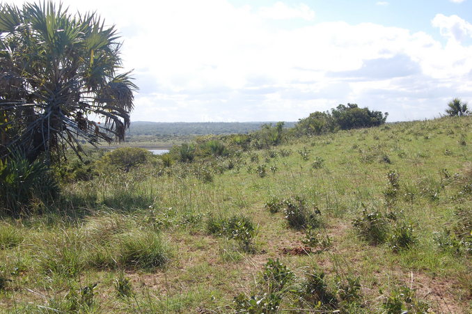 View of the Confluence