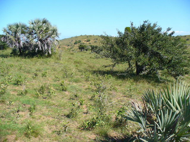 View from the Confluence to the South