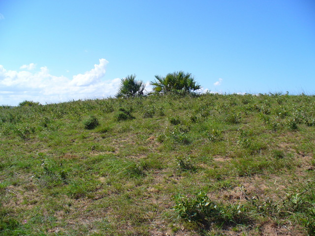 View from the Confluence to the West