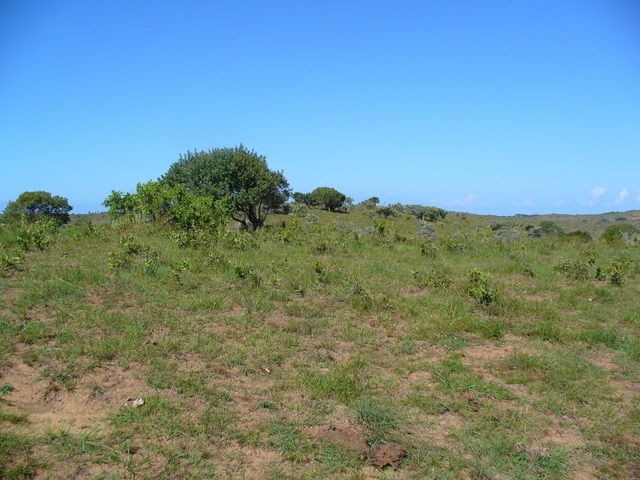 View from the Confluence to the East