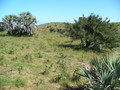 #2: View from the Confluence to the South