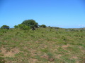 #5: View from the Confluence to the East