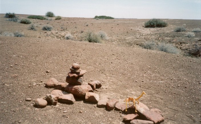 Silly the Confluence Camel on cairn