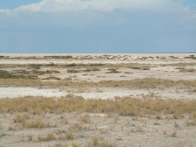 Etosha Pan, towards the point