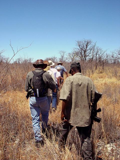 Single file through the bush