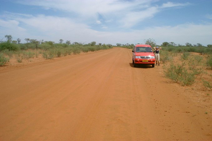 Sandy trail