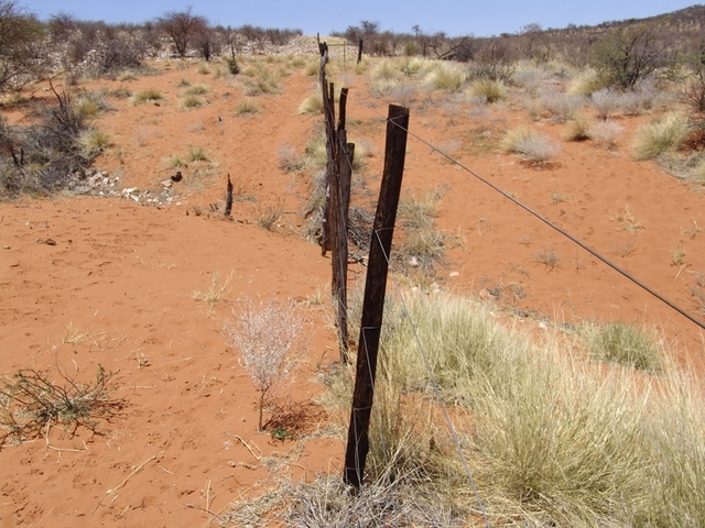 Walk along the fence