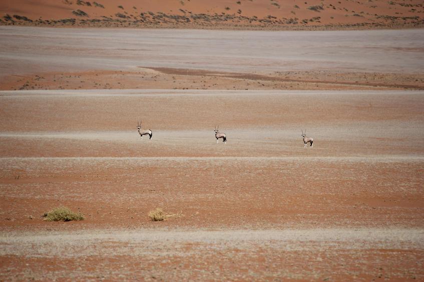 3 witnesses to the confluence visit