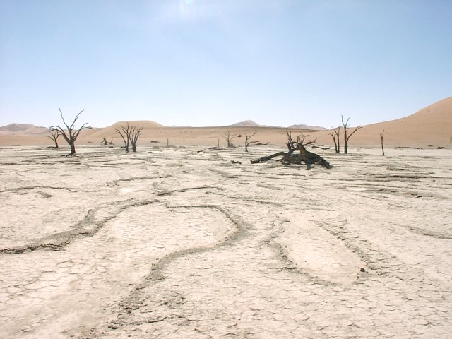 Deadvlei