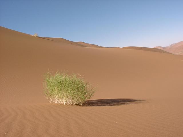 Sand dunes