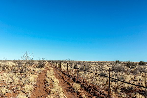 Fence road