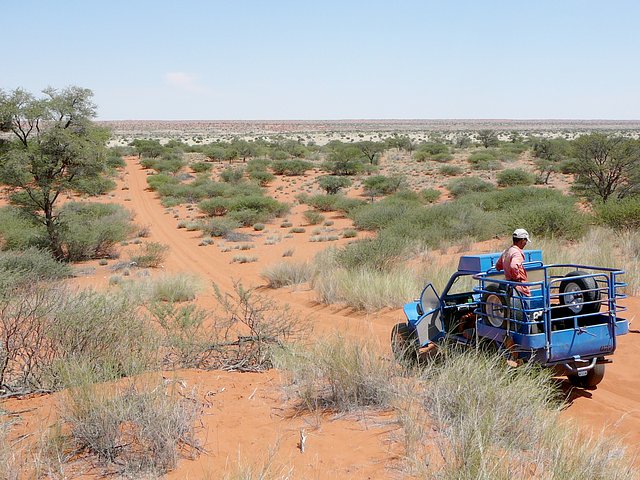 Bill's Uri dune buggy