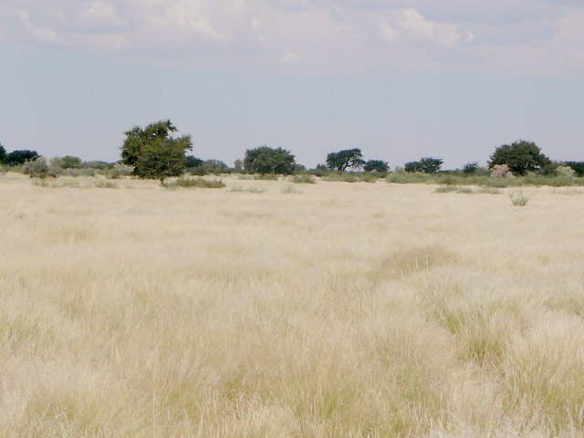 General view of the area