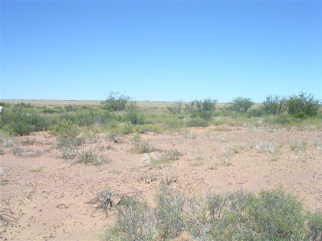 View of Confluence