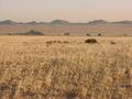 #9: Landscape on the way to Lüderitz