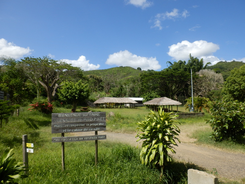 Picnic Area Nearby