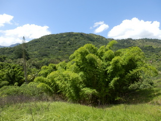 #1: The Confluence from 15 m distance