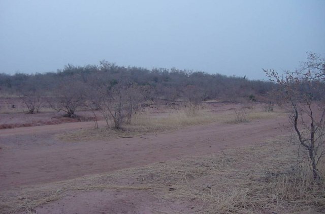 Looking northwest from the Confluence