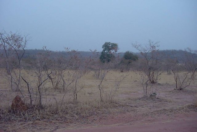 Looking east from the Confluence