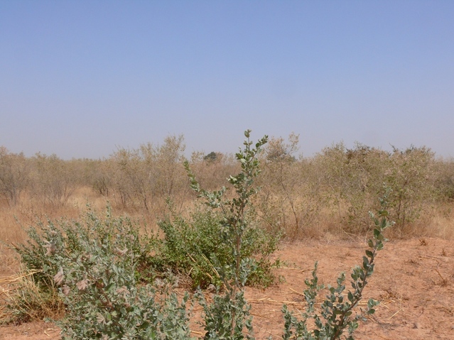 Looking north from the confluence