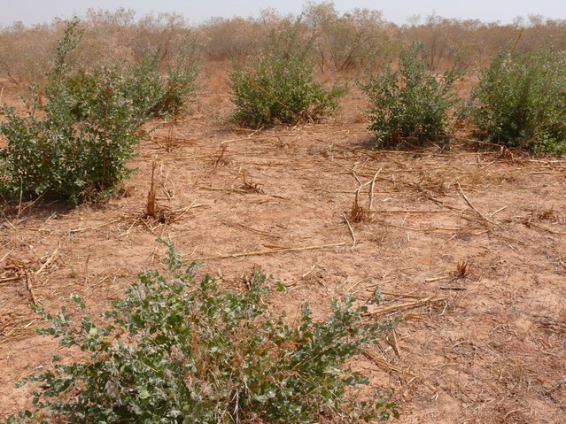 A close shot of the confluence (center of photo)