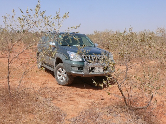 My vehicle covered with gray dust and scratches