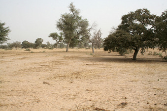 #1: Main view of the Confluence