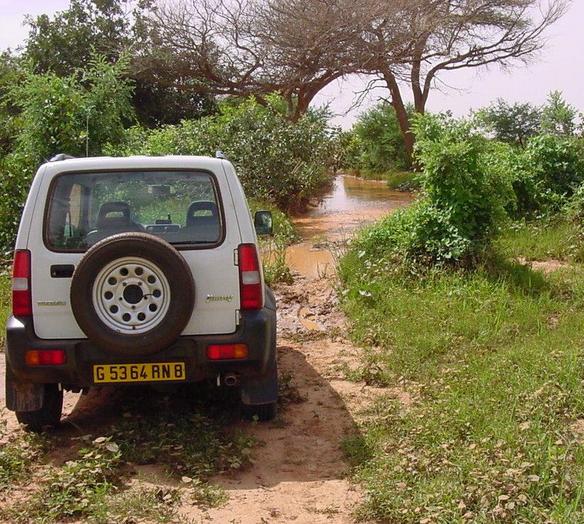 The Suzuki trying to make up its mind whether to try a crossing