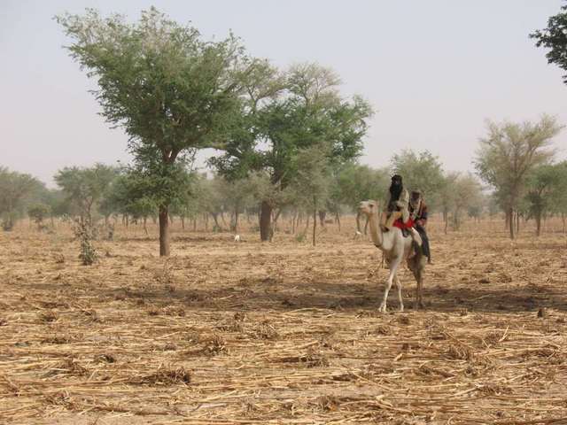 General view