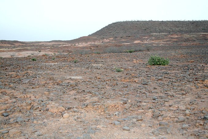 View east from the confluence