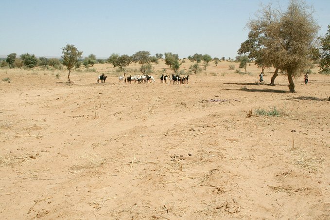 Main view of the Confluence (foreground)