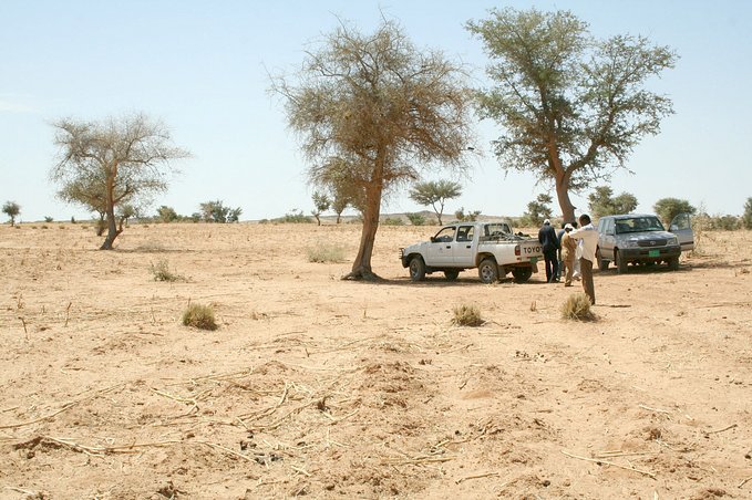 View south from the Confluence