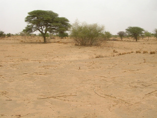 #1: Main view of the Confluence