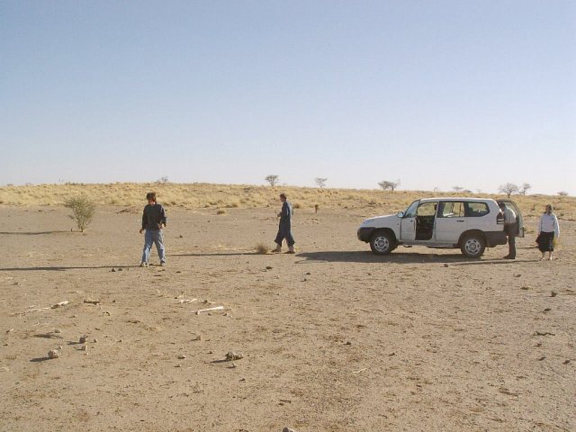 A shot of the confluence party, looking northeast