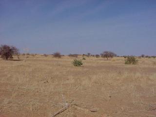 #1: Looking west from the Confluence